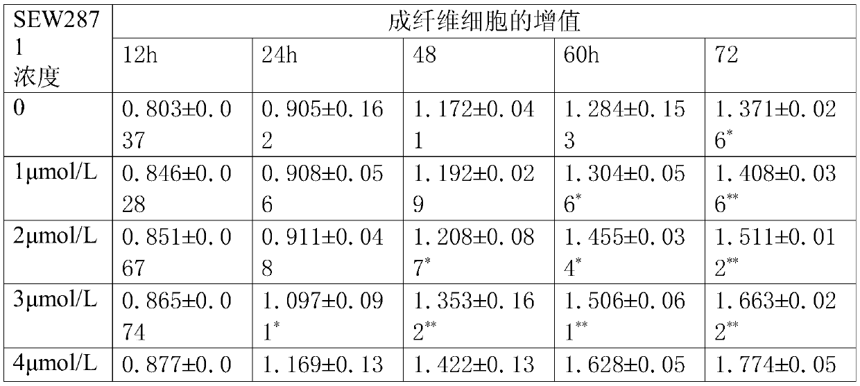 A kind of culture method and detection method of rat fibrotic lung cells