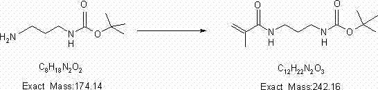 Synthesis method for N-(3-aminopropyl) methacrylamide hydrochloride