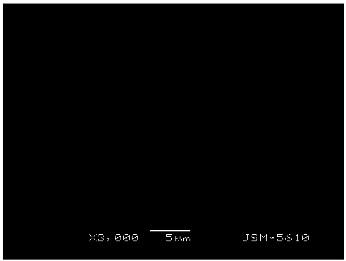 A kind of carbon dioxide crystal film on the surface of activated carbon fiber and its preparation method