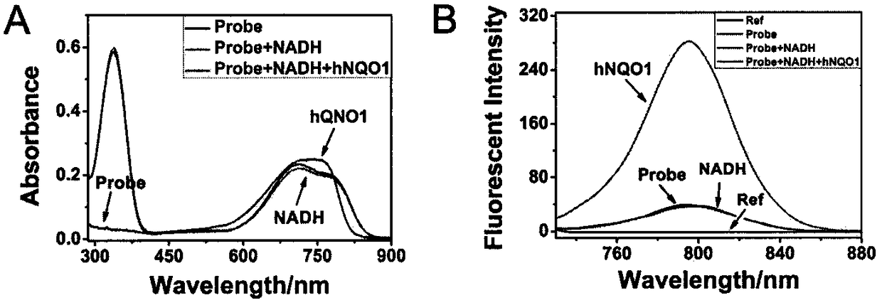 Probe for early diagnosis of tumor as well as synthesis and application of probe