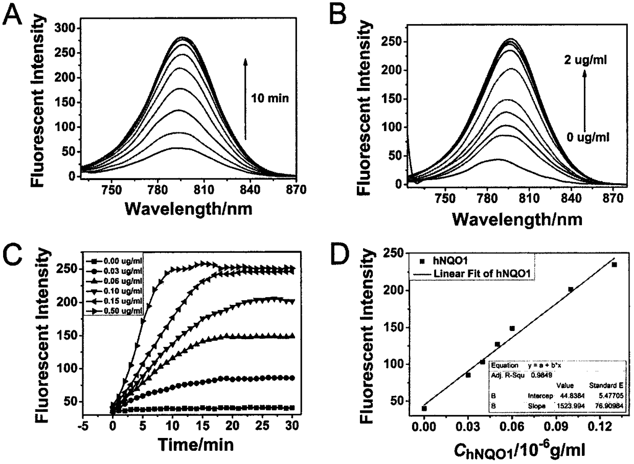 Probe for early diagnosis of tumor as well as synthesis and application of probe