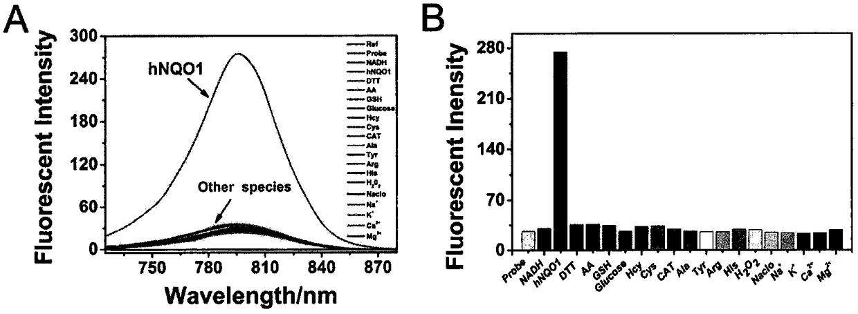 Probe for early diagnosis of tumor as well as synthesis and application of probe