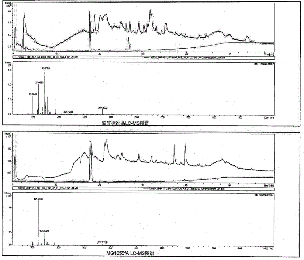 Method for biosynthesis of tyrosol in Escherichia coli and application of tyrosol