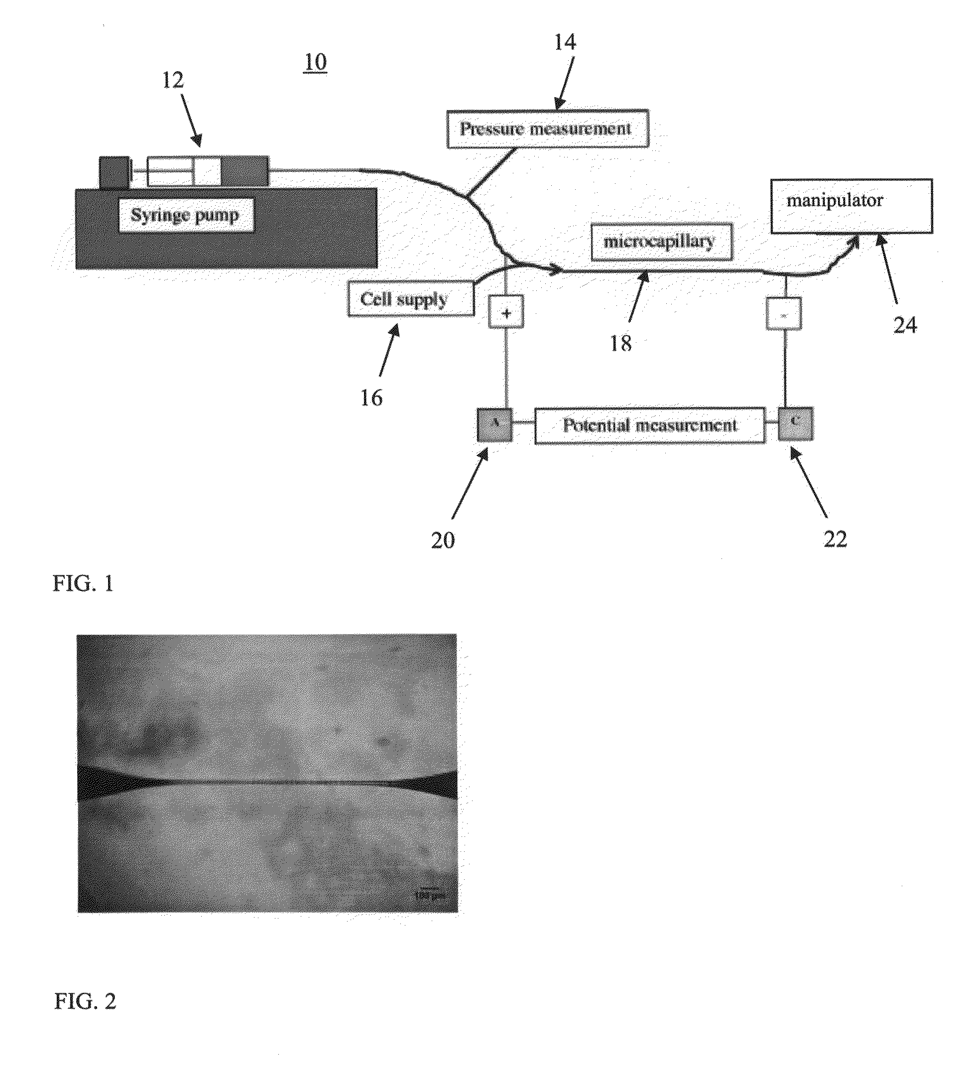 Systems and methods for analyzing and manipulating biological samples