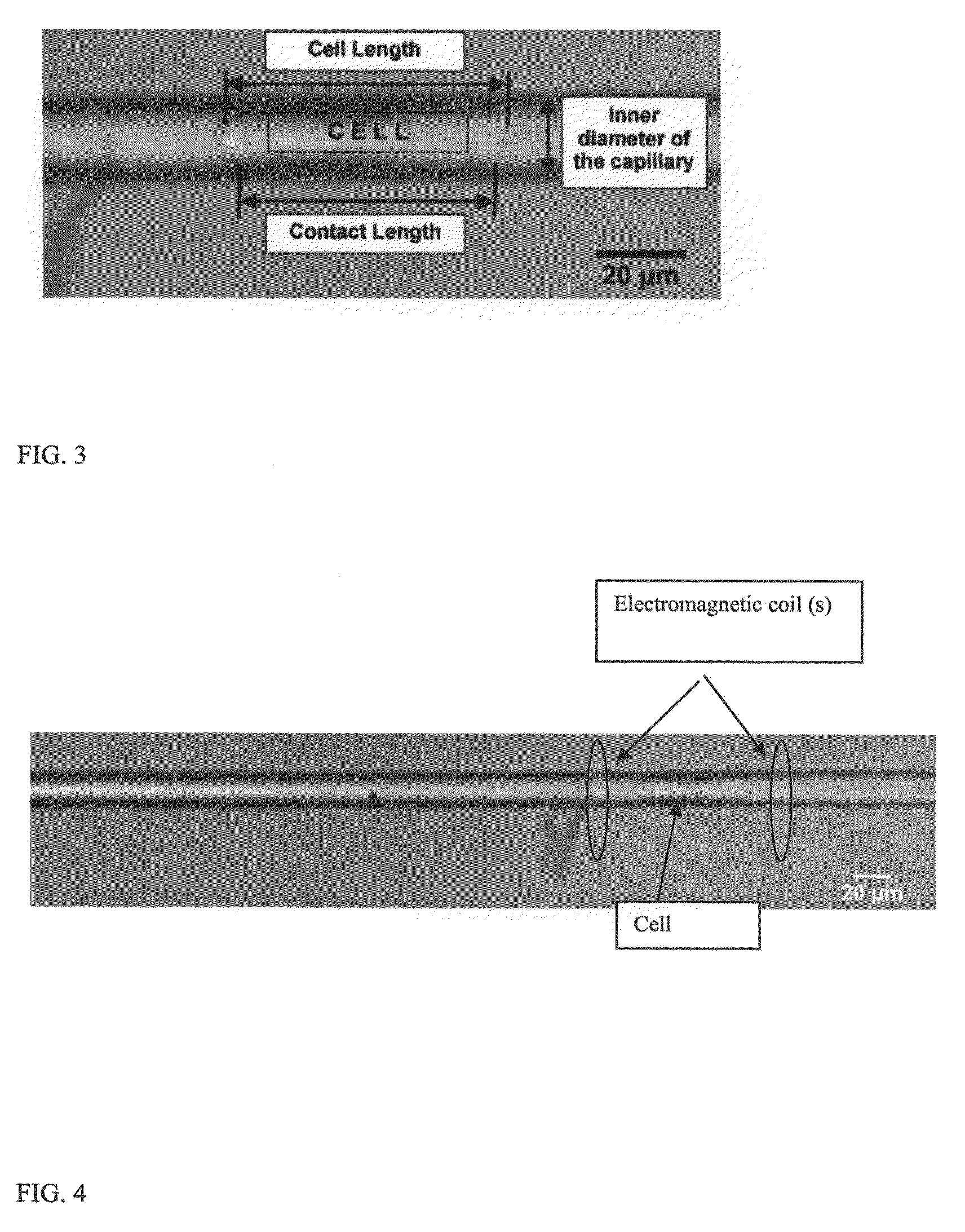 Systems and methods for analyzing and manipulating biological samples