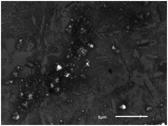 A kind of high temperature and high strength titanium alloy and its additive preparation method