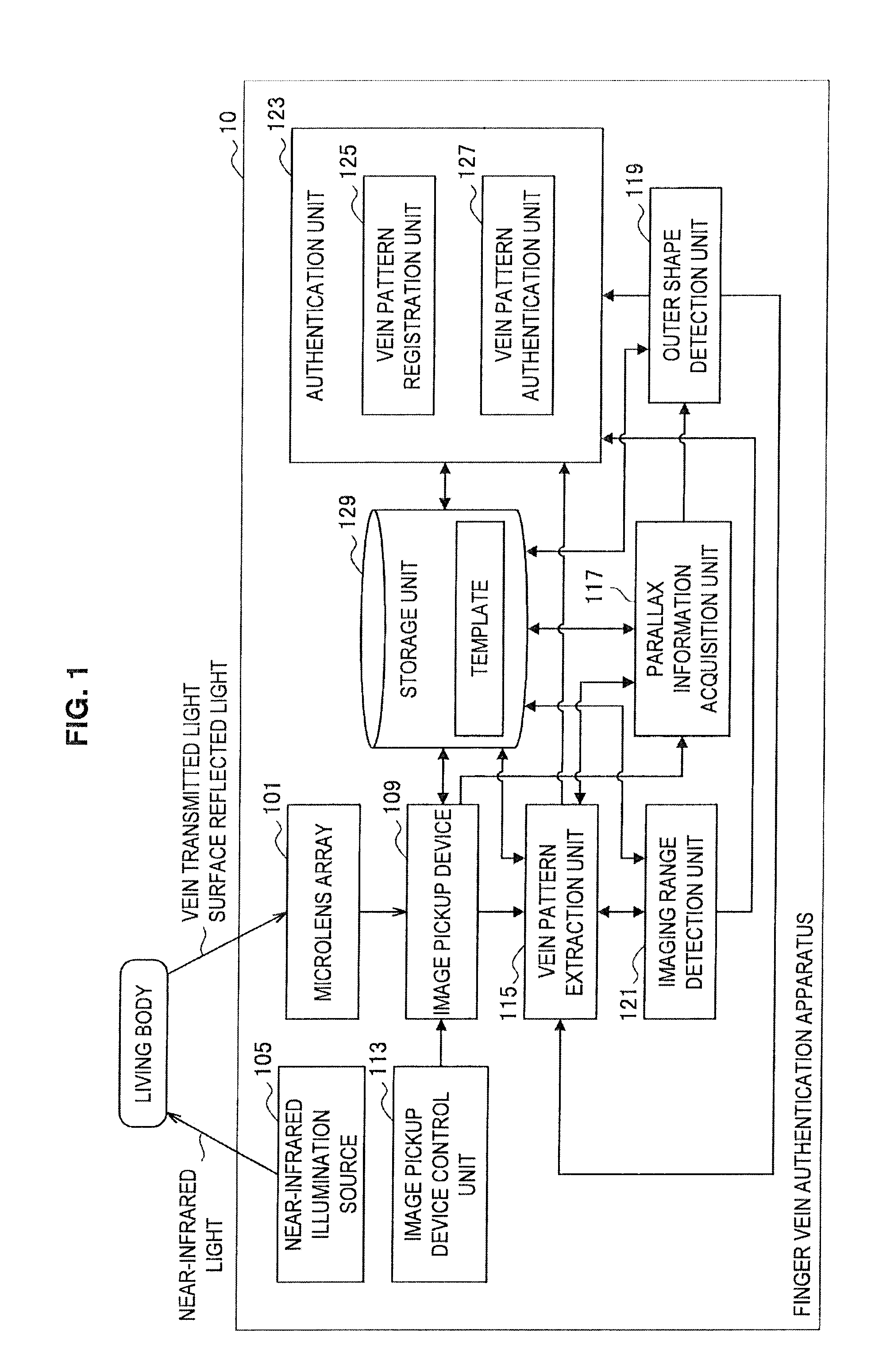 Finger Vein Authentication Apparatus and Finger Vein Authentication Method