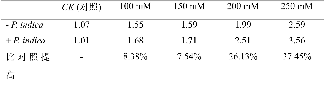 A method for improving salt damage resistance of Medicago truncatula