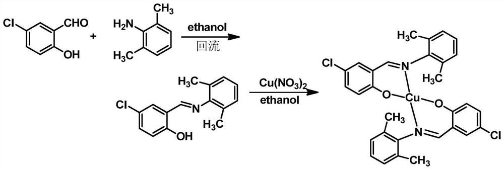 A kind of Schiff base copper complex and its preparation method and application