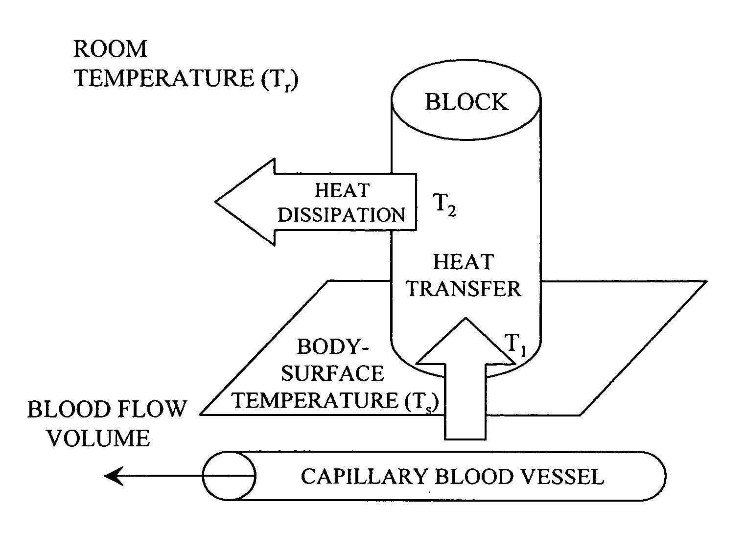 Blood sugar level measuring apparatus