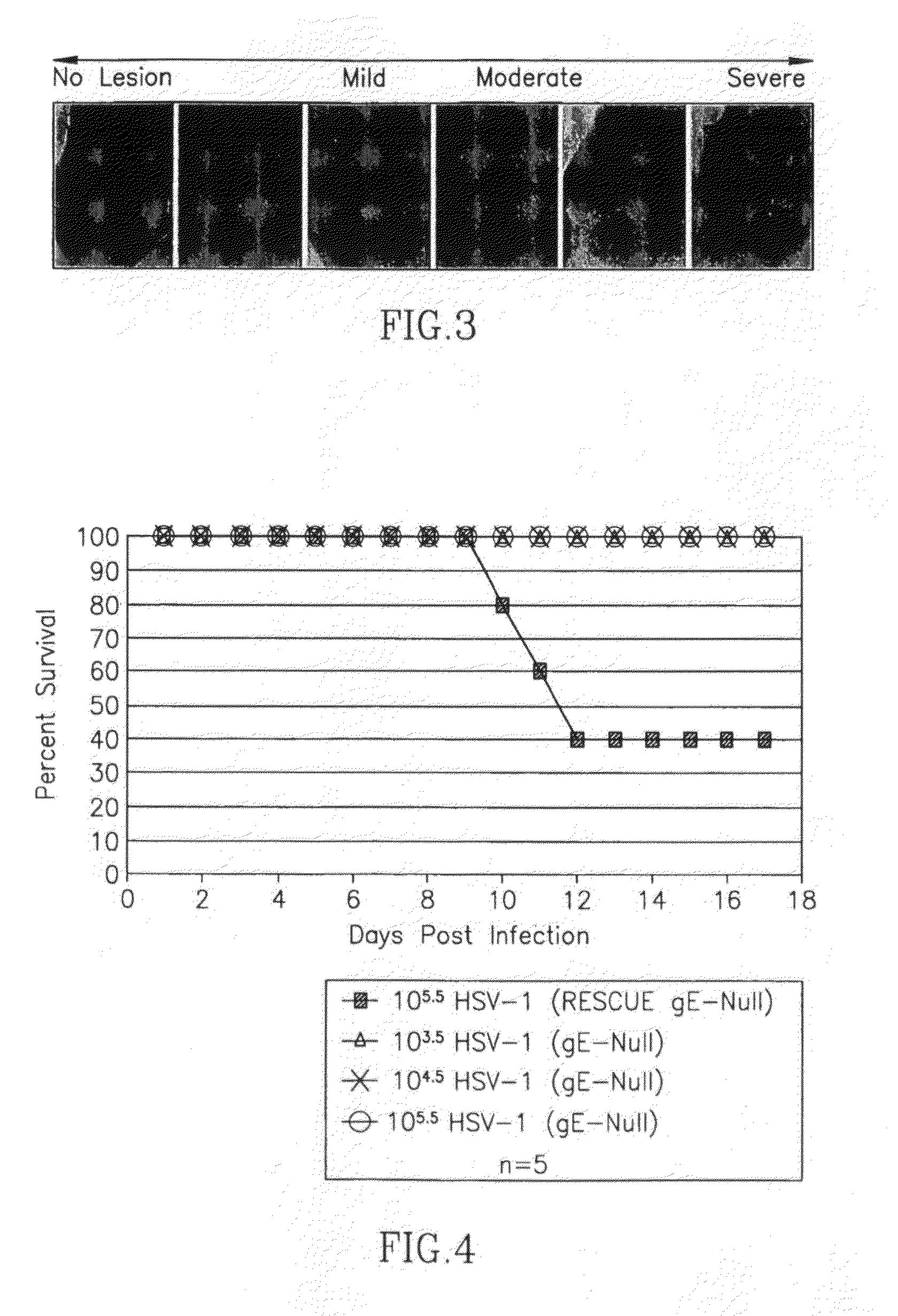 HSV-1 and HSV-2 vaccines and methods of use thereof