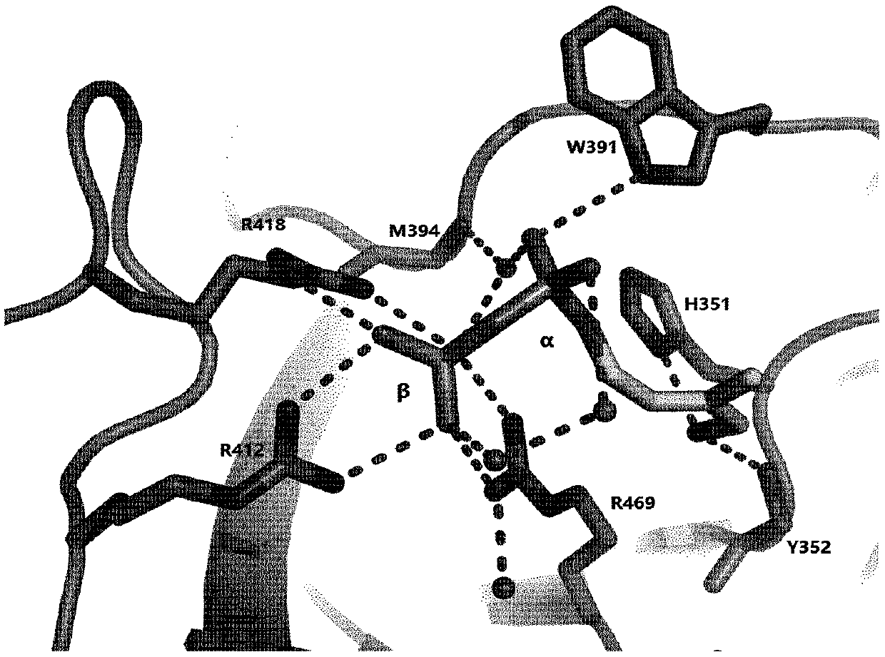 Efficient and stable small molecule agonist of v [gamma] 9v delta 2t cells