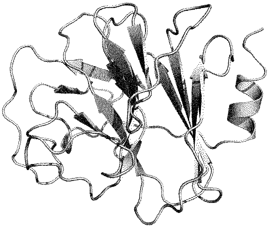 Efficient and stable small molecule agonist of v [gamma] 9v delta 2t cells