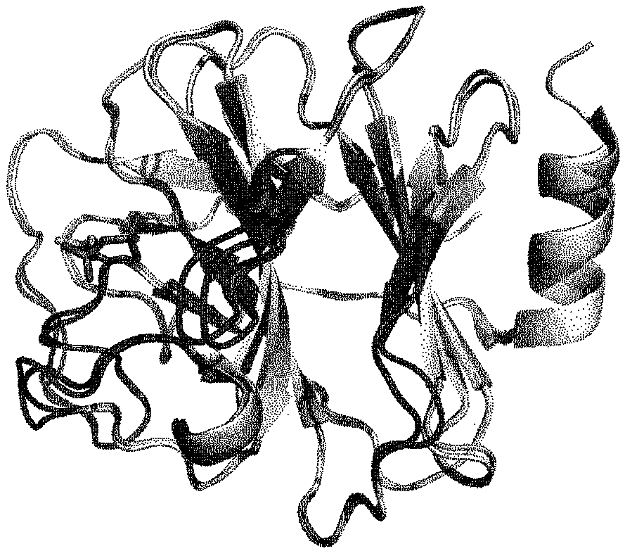 Efficient and stable small molecule agonist of v [gamma] 9v delta 2t cells