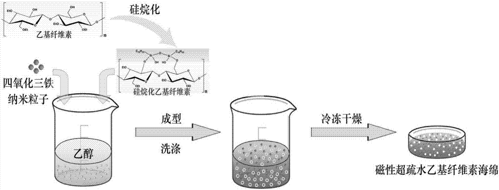 Preparation method of magnetic superhydrophobic ethyl cellulose sponge for oil-water separation