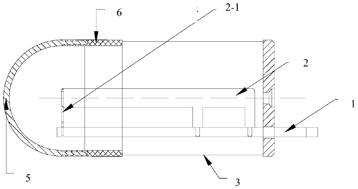 Electrostatic detection device