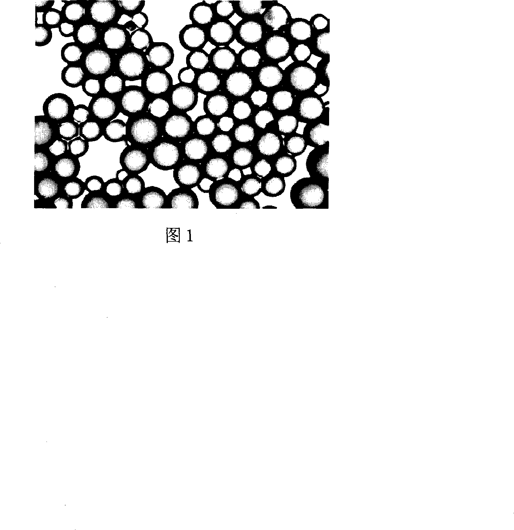 Antibiotic sustained release system building method of medical titanium alloy implant surface