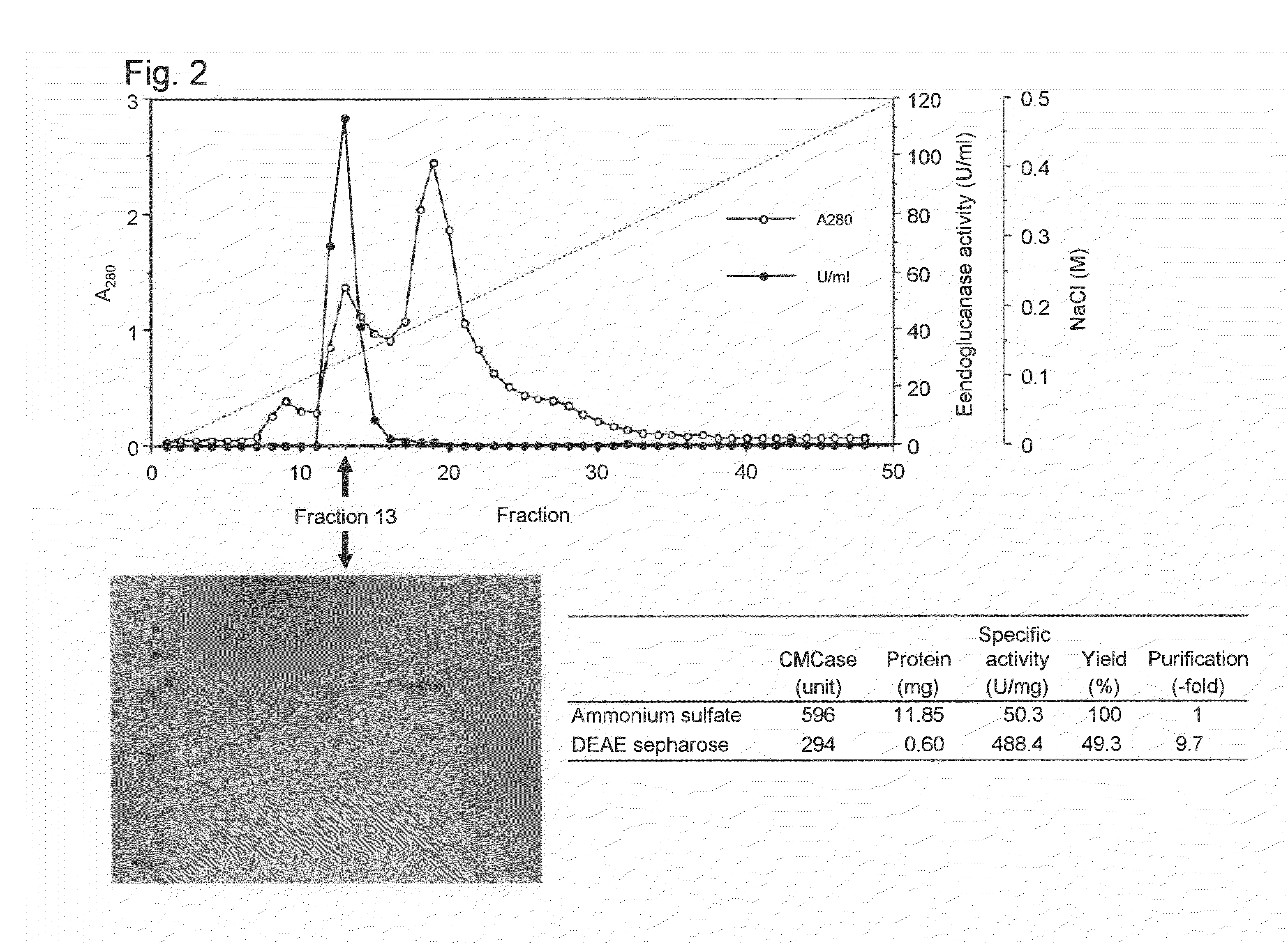 Cellulase enzyme and method for producing the same