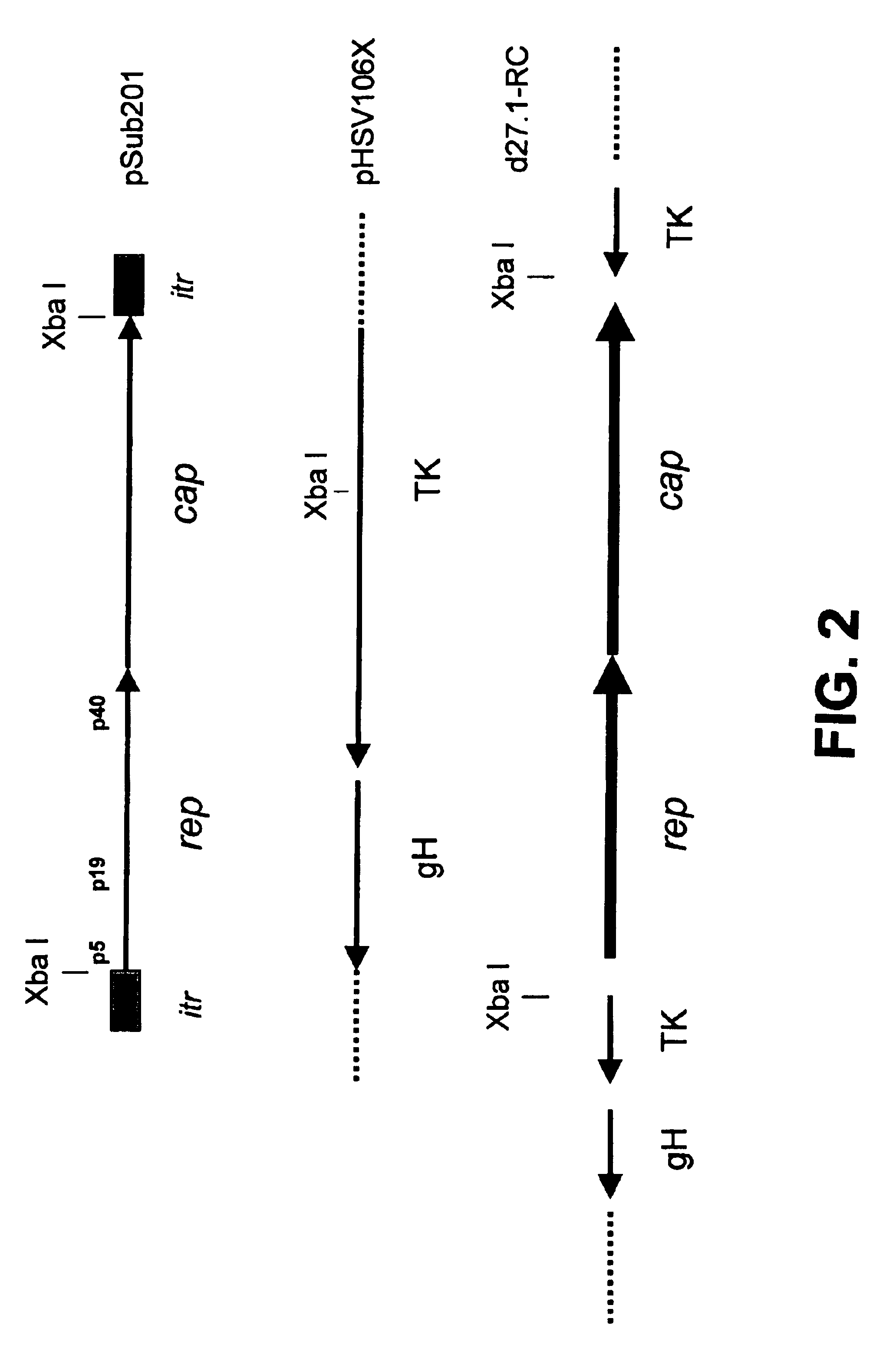 Methods for large-scale production of recombinant AAV vectors