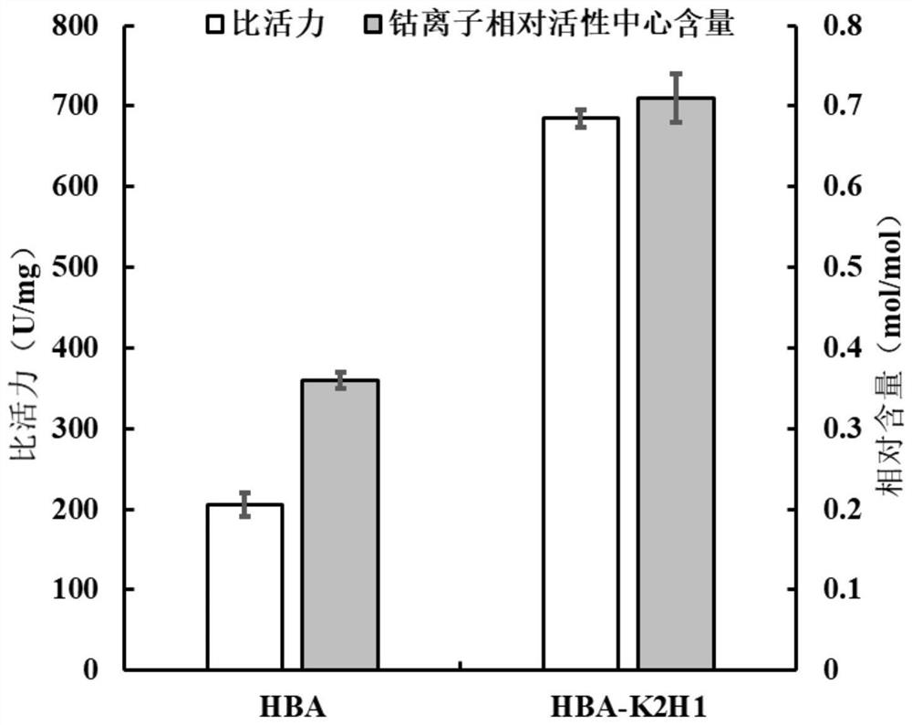 Nitrile hydratase lysine mutant HBA-K2H1, coding gene and application