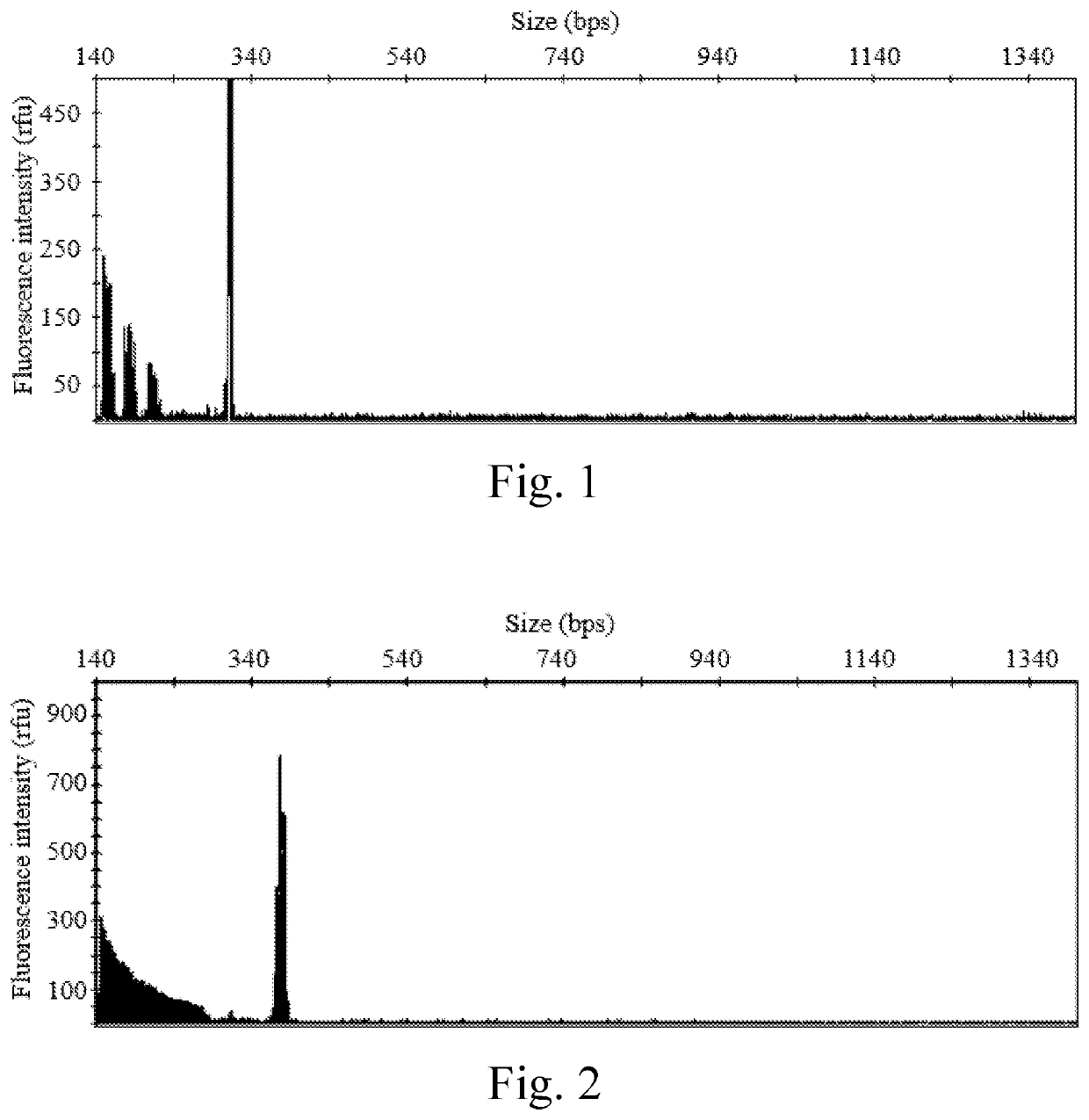 Kits for diagnosing fragile x syndrome and uses thereof