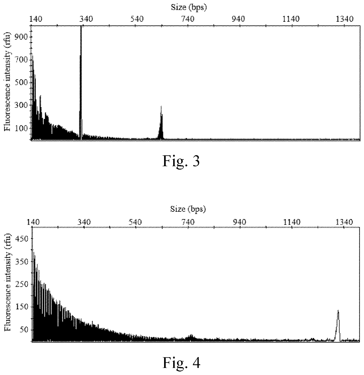 Kits for diagnosing fragile x syndrome and uses thereof