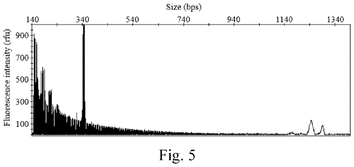 Kits for diagnosing fragile x syndrome and uses thereof