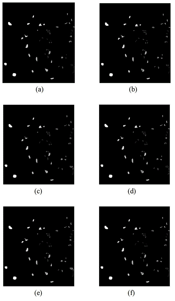 Hyperspectral Image Classification Method Based on Local Cooperative Representation and Neighborhood Information Constraint