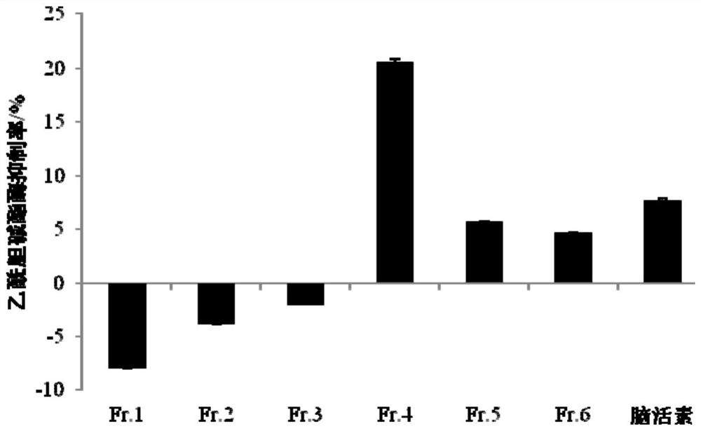 A polypeptide with memory-improving effect and its separation and preparation method and application