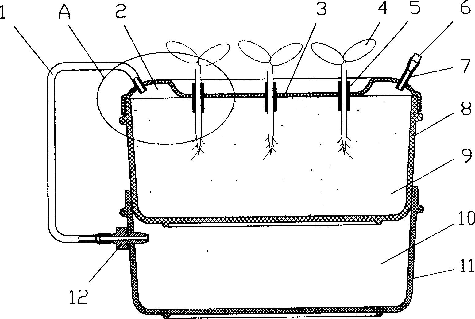 Method and device for determining plant transpiration efficiency precisively