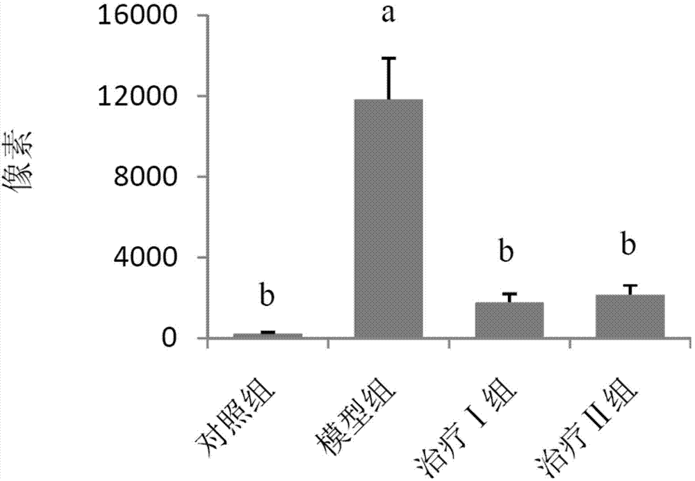 Polypeptide, preparation method and application thereof