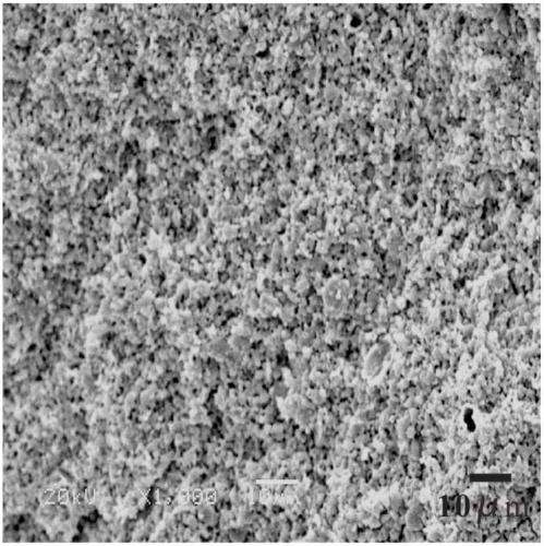 Biological ceramic and preparation method and application thereof