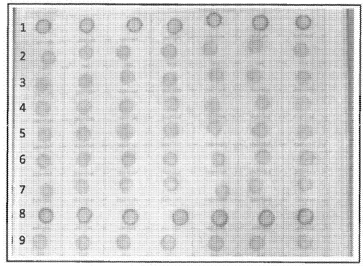 Plants showing a reduced wound-induced surface discoloration