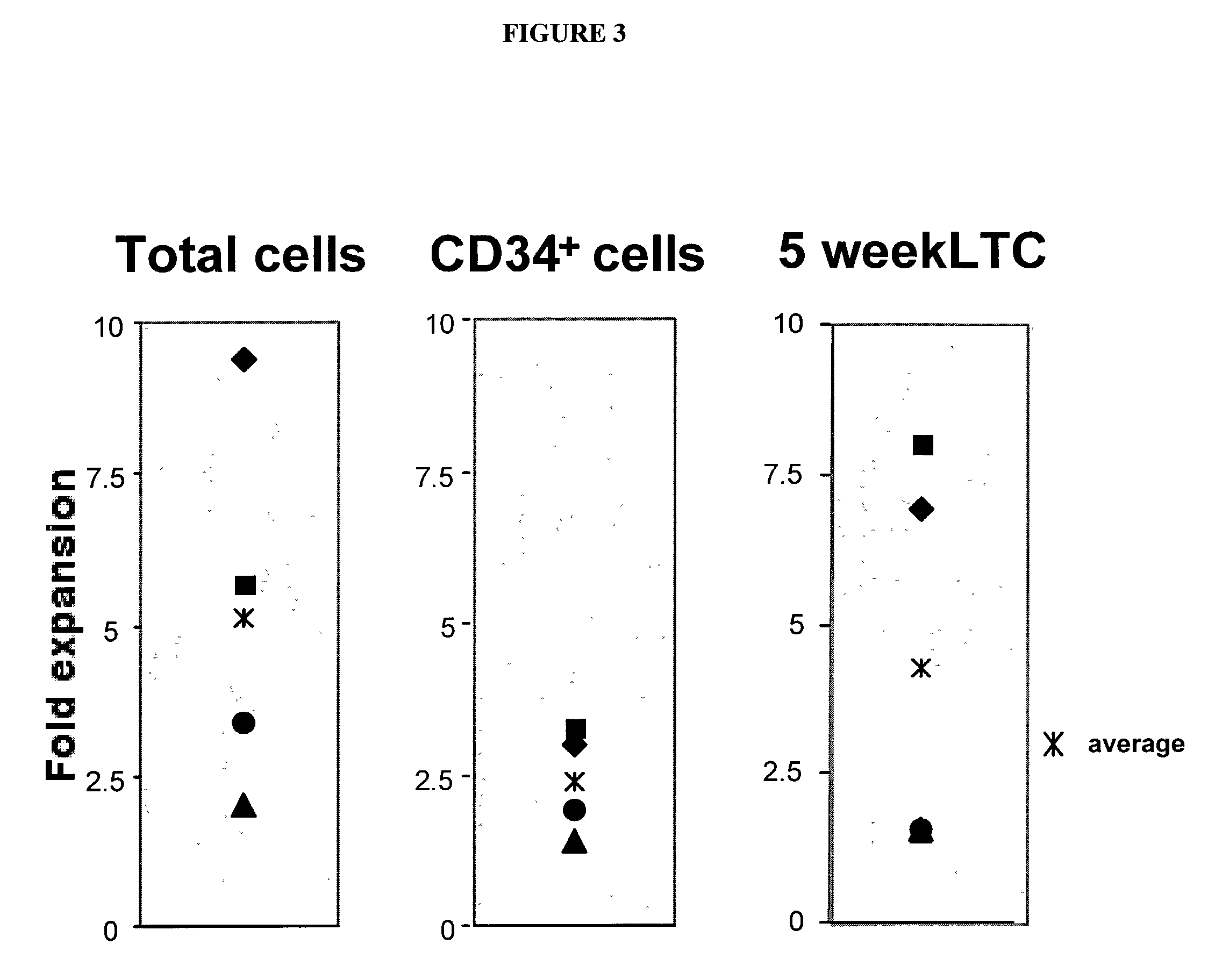 Methods and compositions for the use of stromal cells to support embryonic and adult stem cells