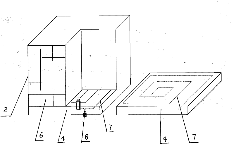 Method for observing root growth process of deep rooting plant alhagi sparsifolia