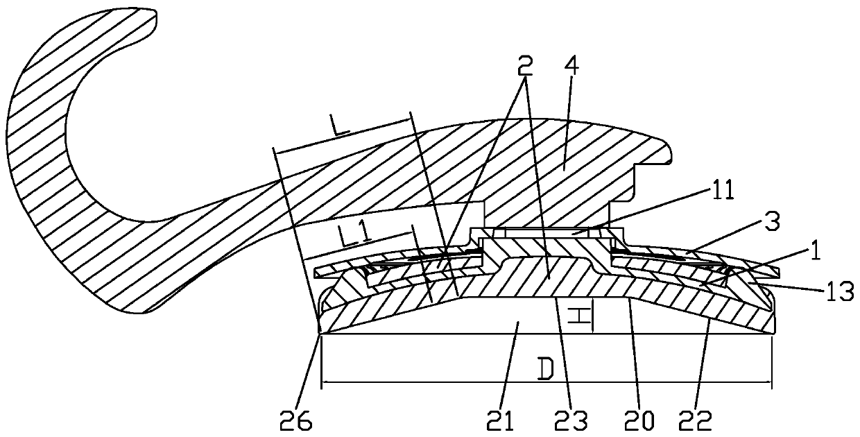 Elastic colloid for sucker and vacuum sucker applying elastic colloid