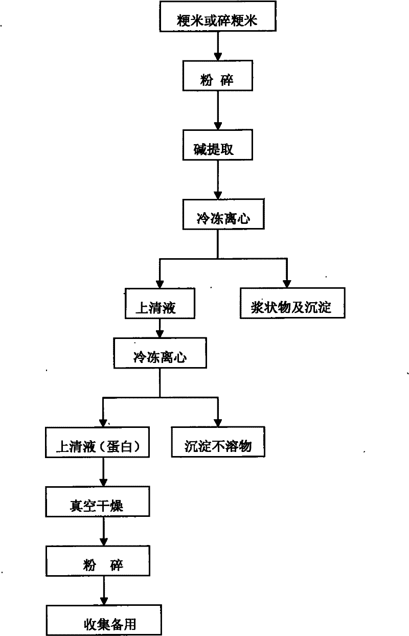 Low-allergy high-protein rice flour for infants and preparation method thereof