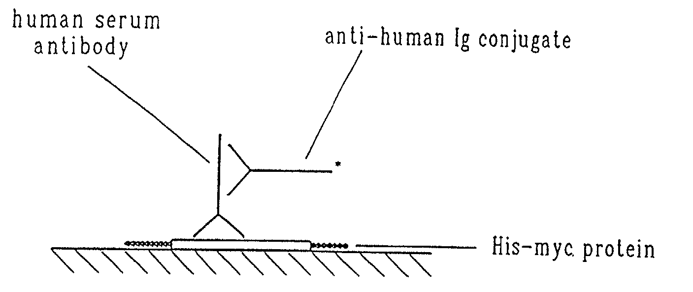 Material and methods relating to a novel retrovirus