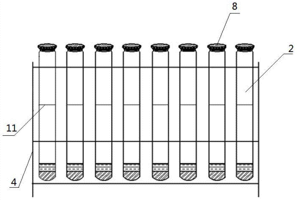 A rapid detection kit for butyl xanthate and its detection method