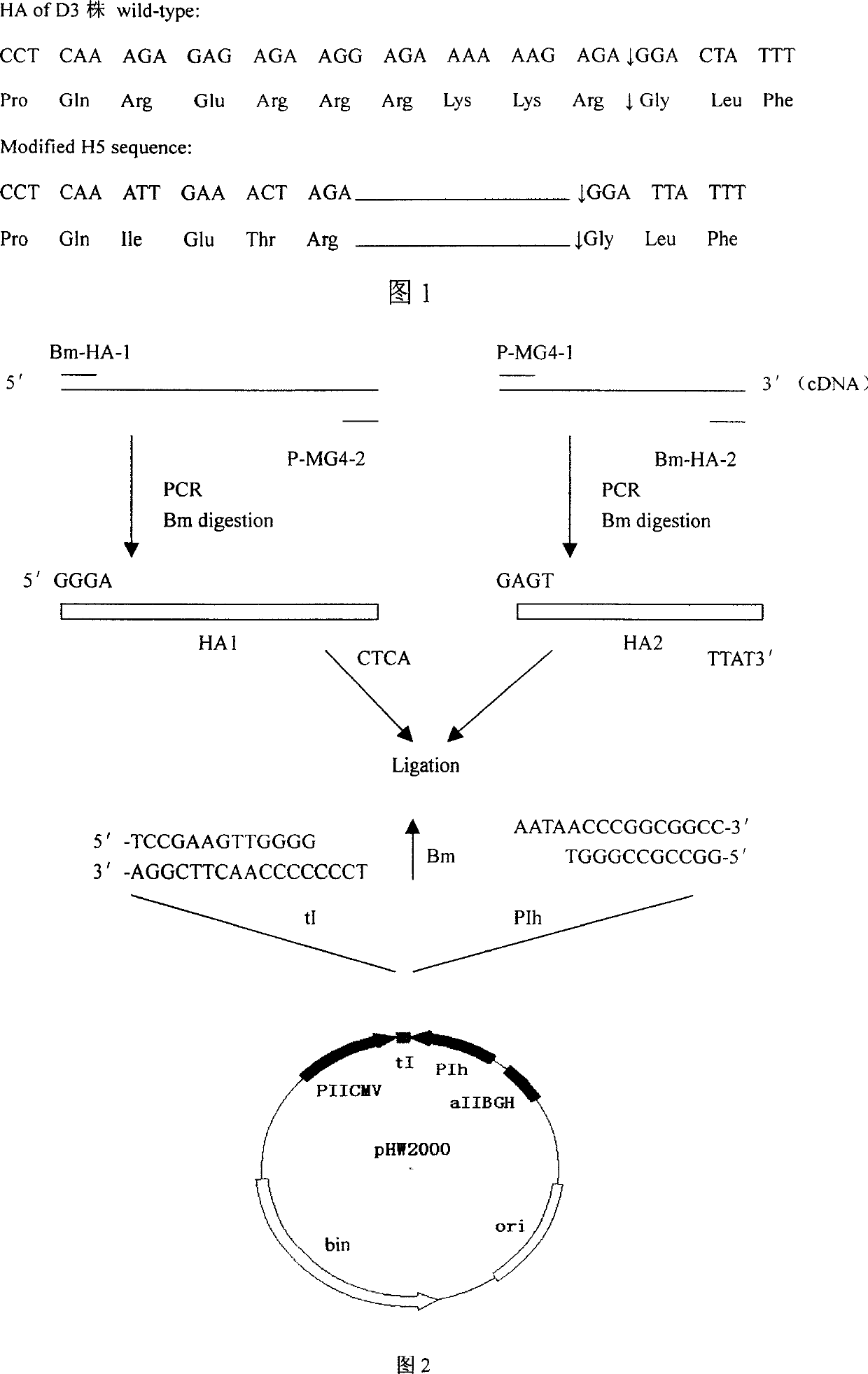 Gene recombinant fowl influenza virus D3/F-R2/6 and its construction method