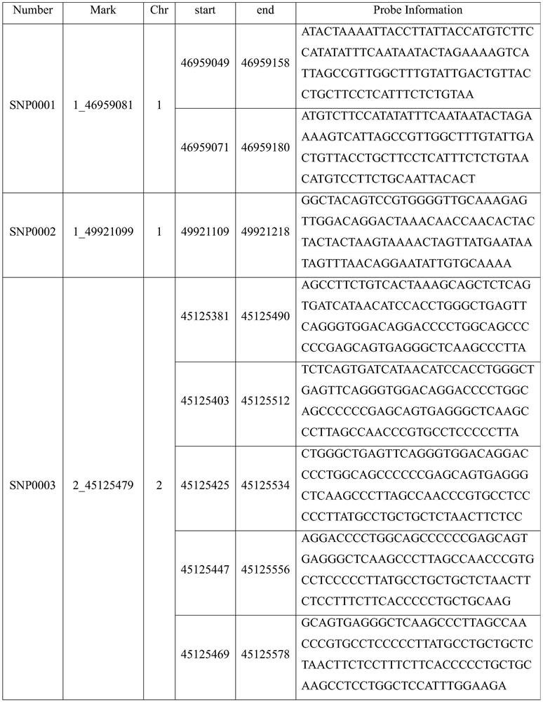 SNP (Single Nucleotide Polymorphism) site combination related to net hair rate of fine-wool sheep and application of SNP site combination