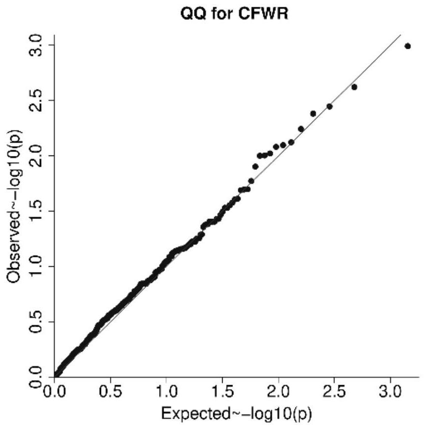 SNP (Single Nucleotide Polymorphism) site combination related to net hair rate of fine-wool sheep and application of SNP site combination