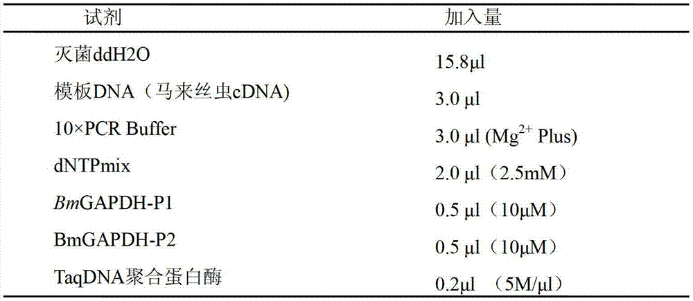 Preparation method of periodic wuchereria malayi compound multivalent DNA (deoxyribonucleic acid) vaccine