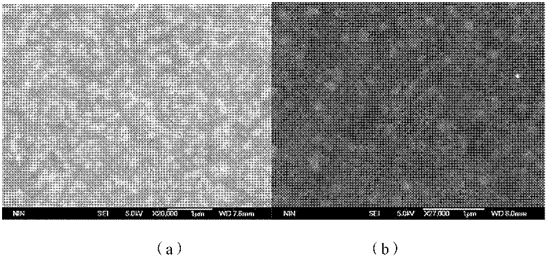 Preparation method of Sm-doped BiFeO3 ferroelectric film on surface of fluorine-doped tin oxide (FTO)/glass substrate