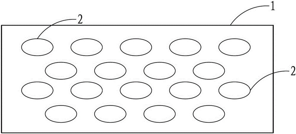 Abalone separator