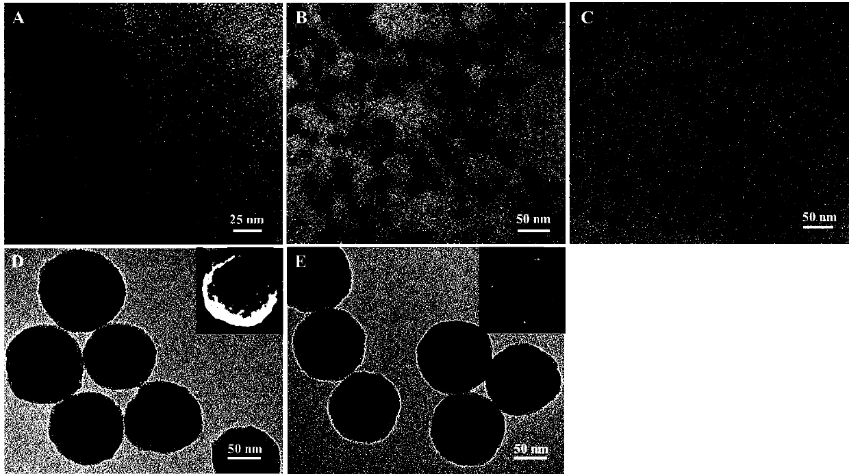 A molecularly imprinted ratiometric fluorescent sensor and its preparation and application