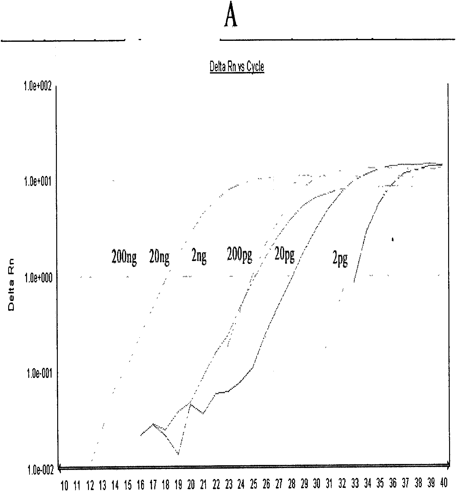 Method and primers for detecting mi ribonucleic acid (miRNA) and application of method