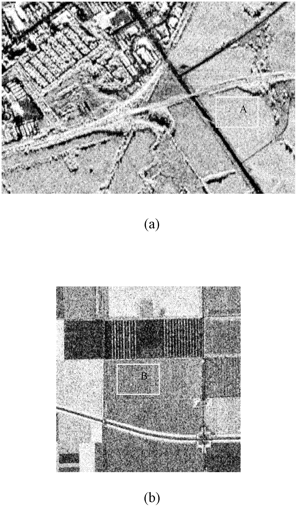Polarimetric SAR (synthetic aperture radar) data speckle suppression method based on adaptive shape non-local means