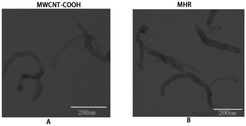 A kind of peptide-modified multi-wall carbon nanotube carrier and its preparation method and application