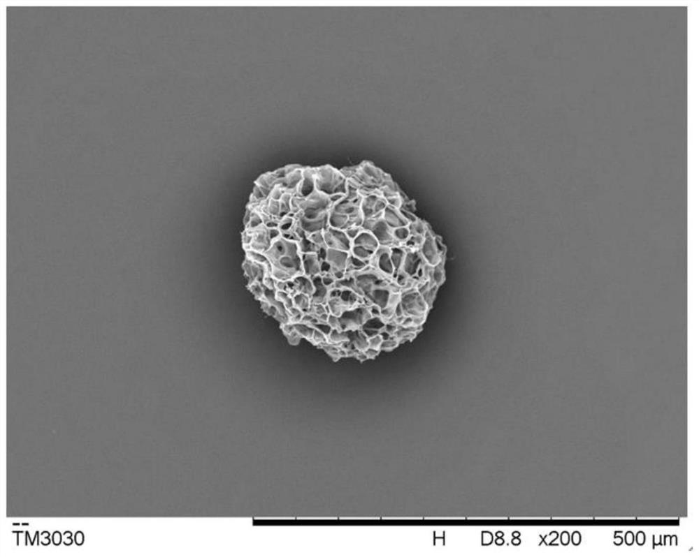 Injectable artificial dermis for promoting wound healing as well as preparation method and application of injectable artificial dermis